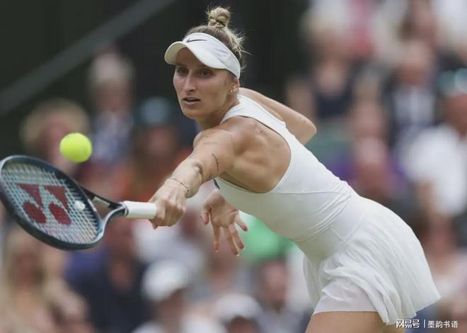 标的情况下 标的情况下